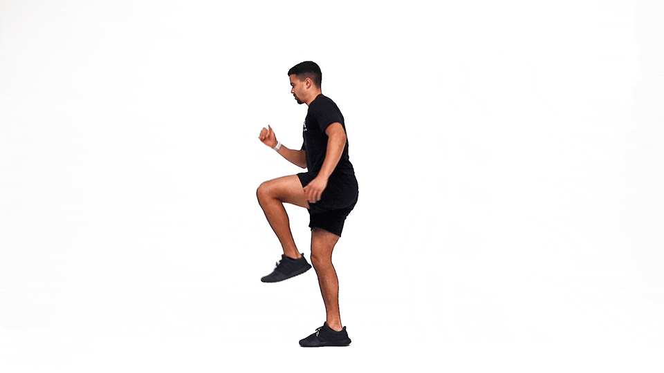 Reverse Lunge Knee Drive
