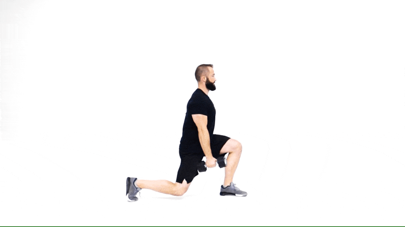 Dumbbell Static Lunge to Curl