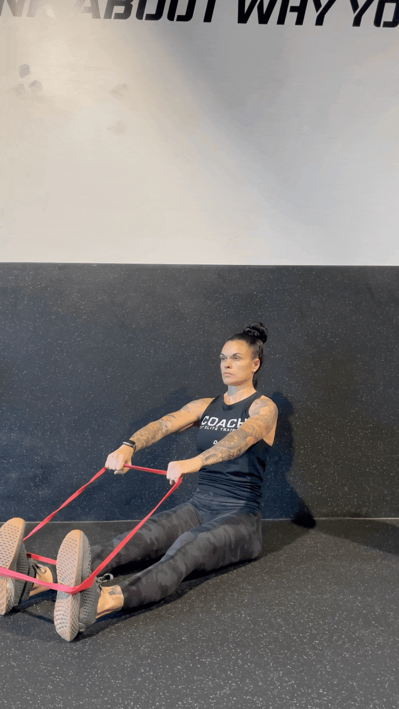 Seated Resistance Band Face Pull