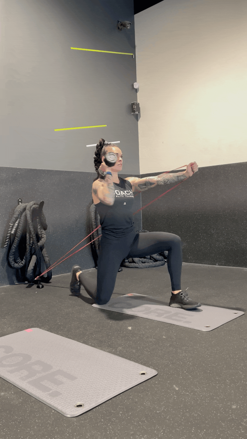 ISO Resistance Band Hold Arnold Press