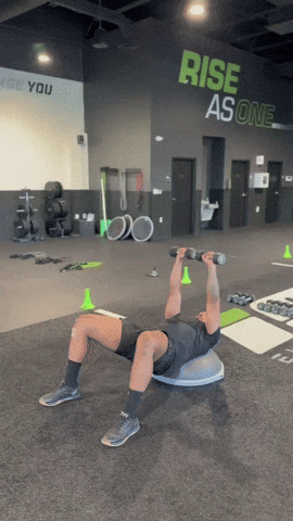 BOSU Dumbbell ATW Chest Fly