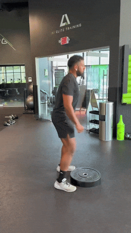 In Out Plate Squat Hop