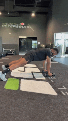 Dumbbell Renegade Row Tricep Kickback