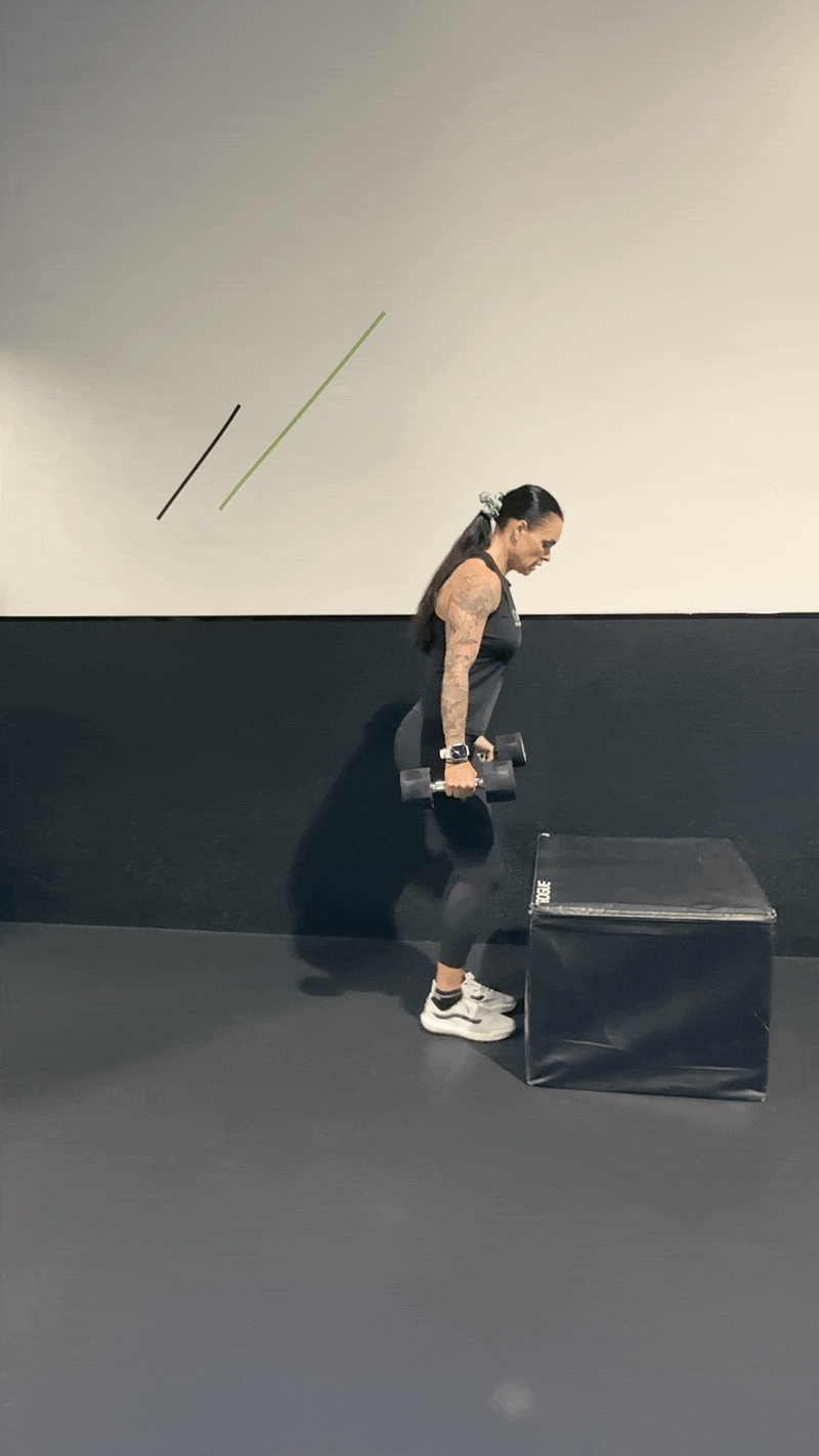 Dumbbell Reverse Lunge to Step Up