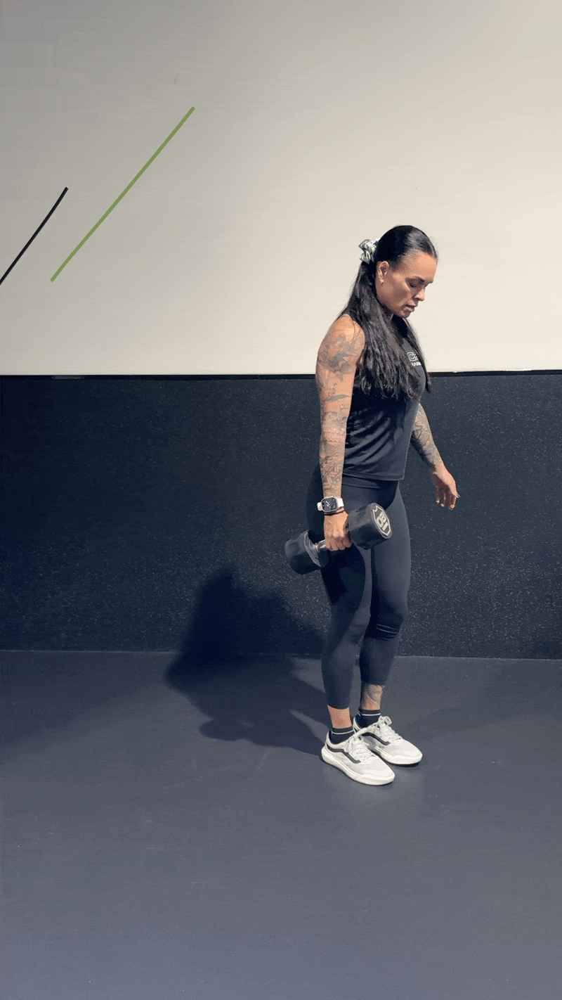 Dumbbell Reverse Lunge to Single Arm Row