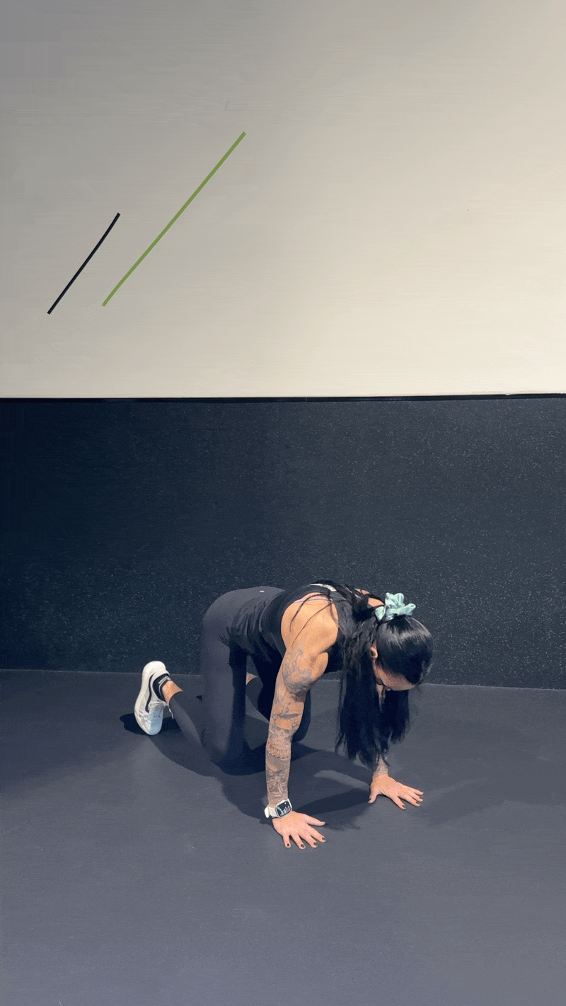 Bear Plank To Plank To Squat Thrust