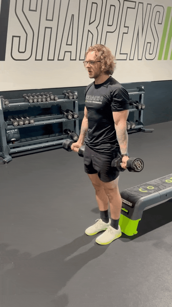 DUMBBELL CURL TO UPPERCUT