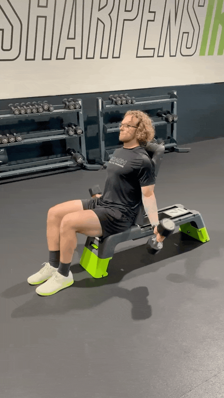 DUMBBELL INCLINE T-CURL