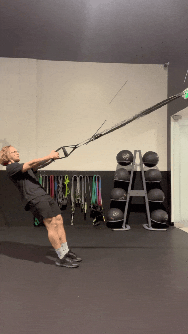 TRX TORSO ROTATION