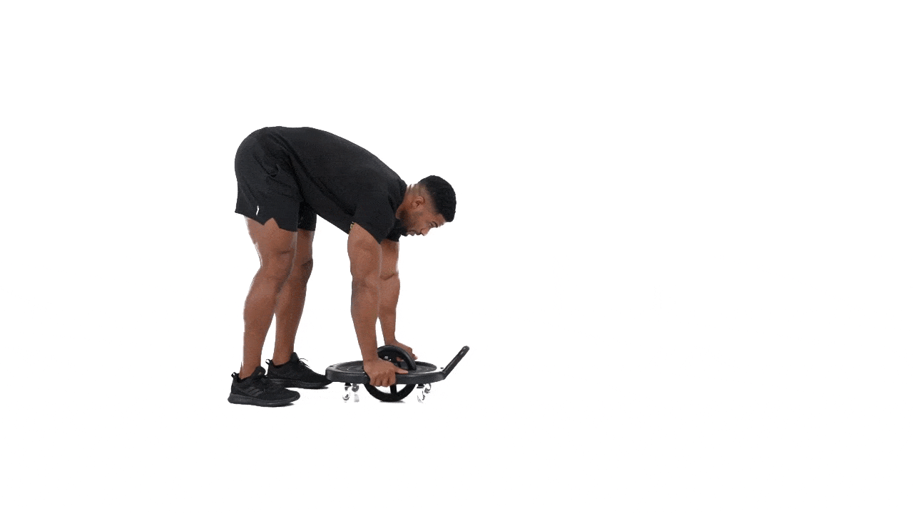 Ab Dolly Rollout Push Up