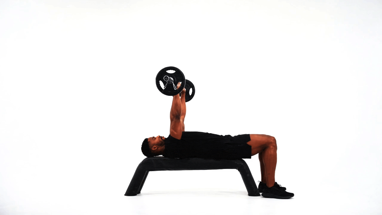 Barbell Bench Chest Press