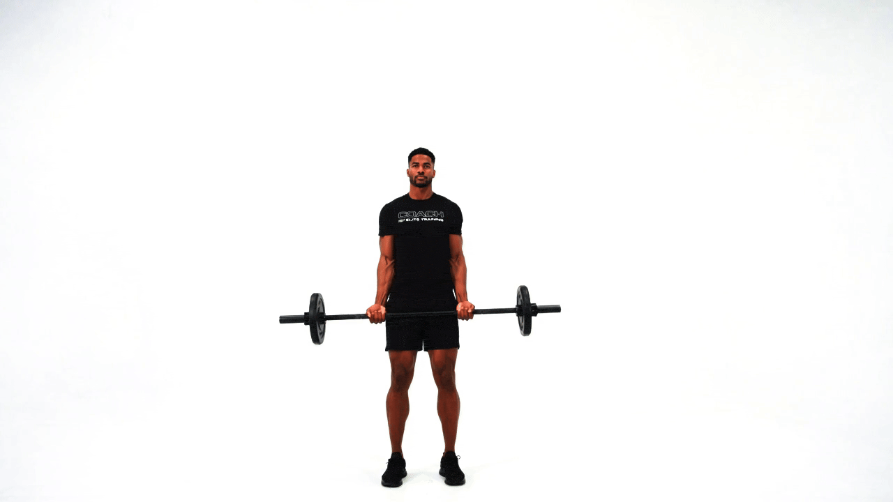 Barbell Bicep Curl