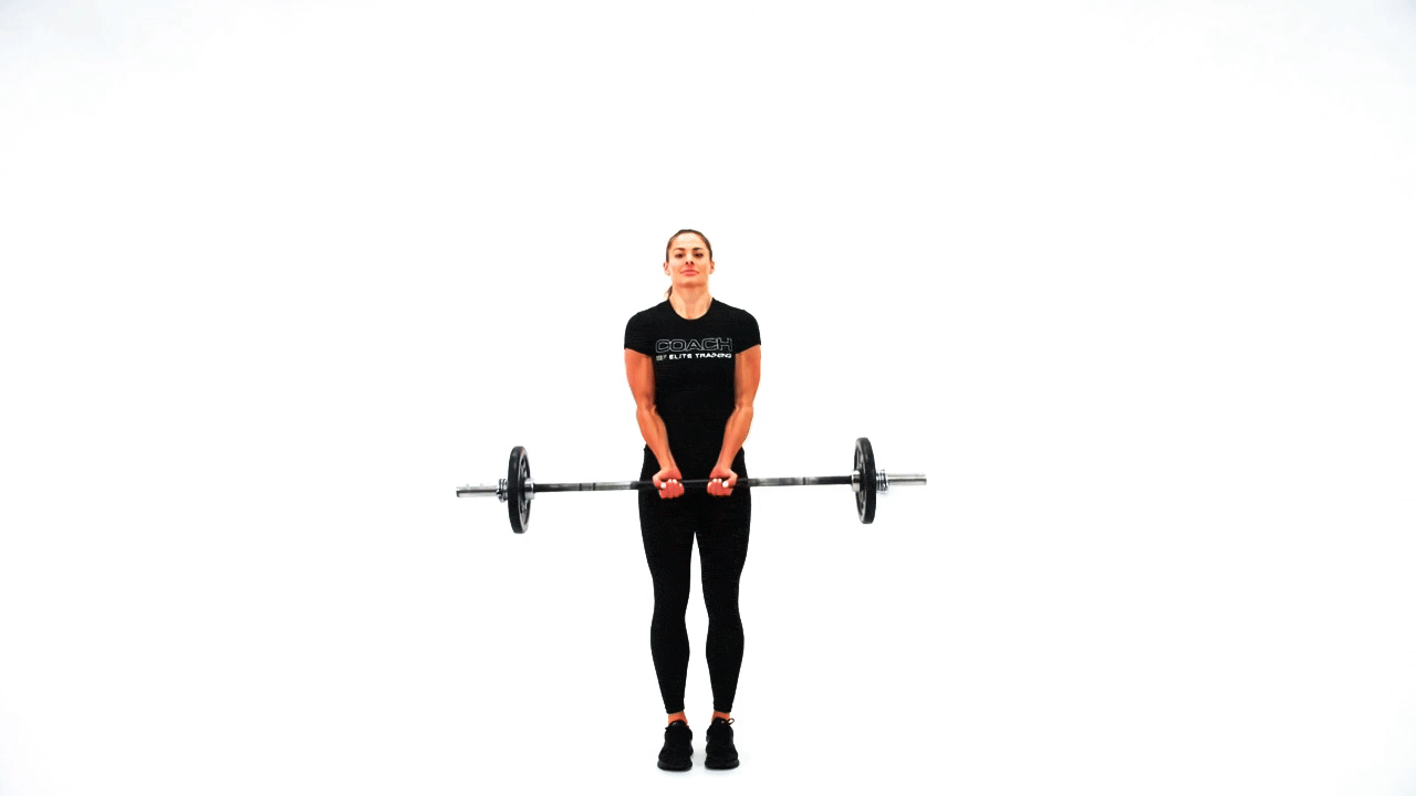 Barbell Close Grip Curl