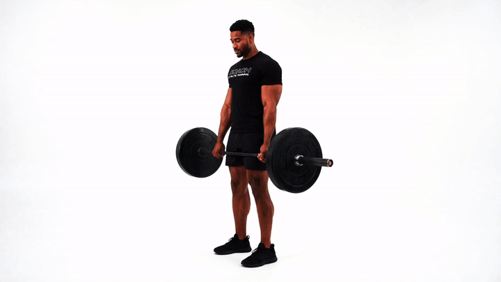 Barbell RDL to Bent Over Row