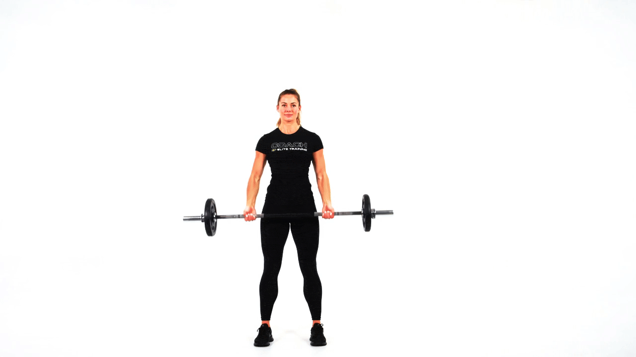 Barbell Reverse Curls