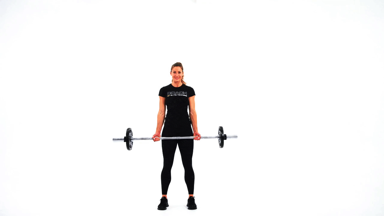 Barbell Underhand Row