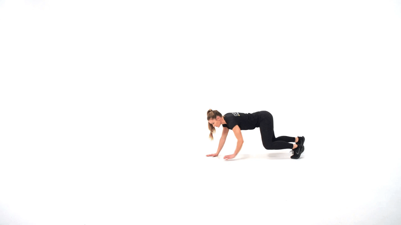 Bear Crawl