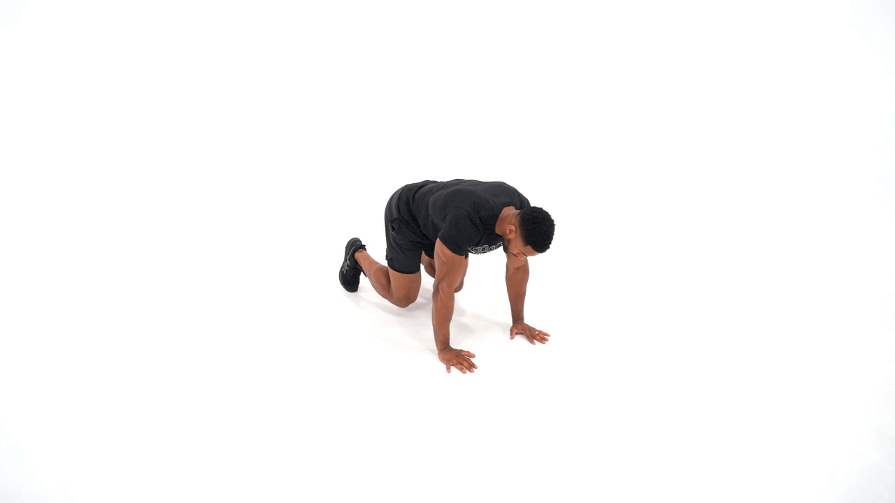 Bear Plank To Plank To Squat Thrust