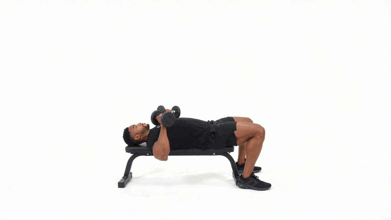 Dumbbell Bench Chest Press