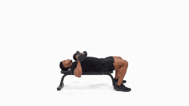 Dumbbell Bench Chest Press