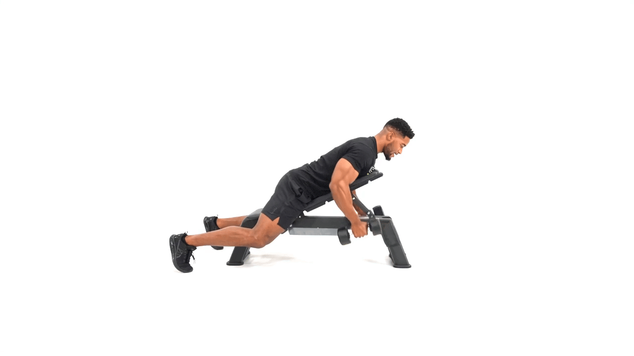 Bench Supported Dumbbell Row