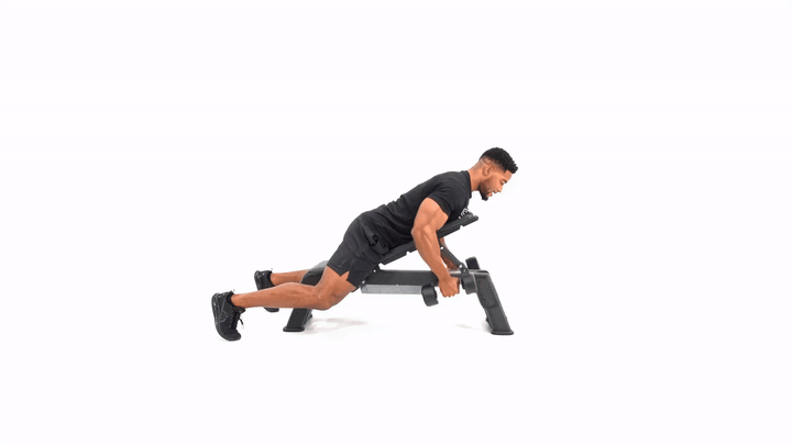 Bench Supported Dumbbell Row