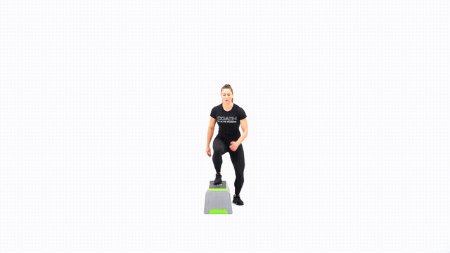 Bench Step Over