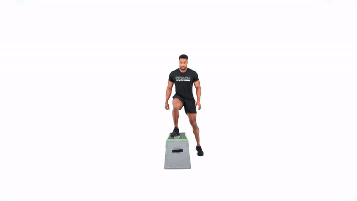 Bench Tap Step Over