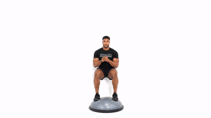 Bosu Squat Hold