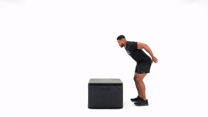 Box Jump Reverse Landing