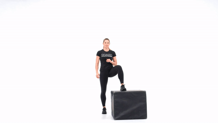 Box Step Up and Over