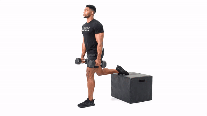 Bulgarian Split Squat Bicep Curl