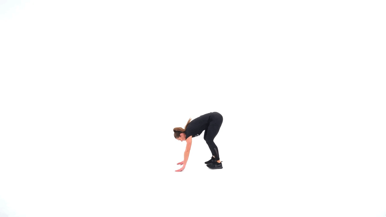 Burpee