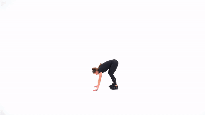 Burpee