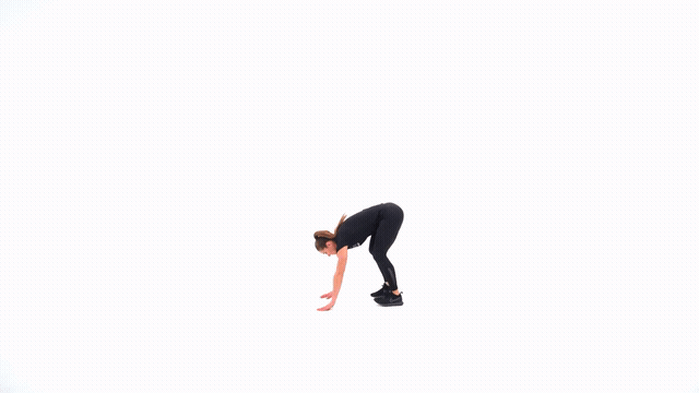 Burpee