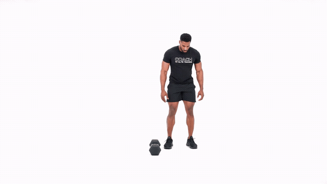 Burpee Over Dumbbell