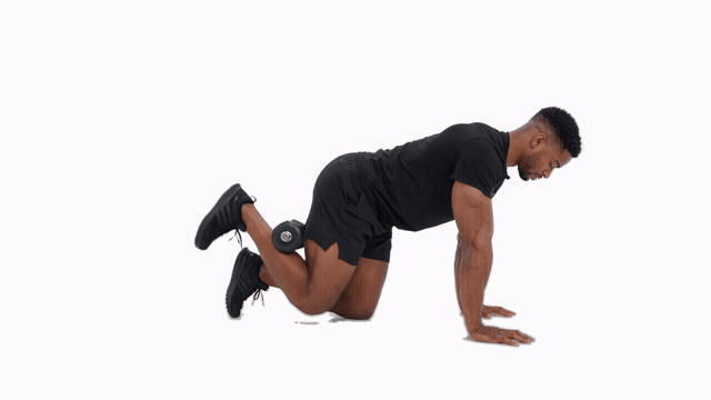 DB Donkey Kicks