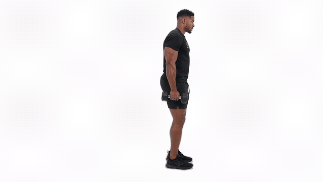 DB REVERSE LUNGE W/ FRONT RAISE