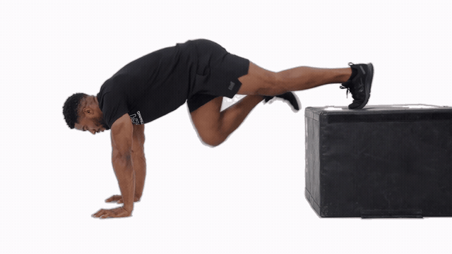 Decline Mountain Climbers