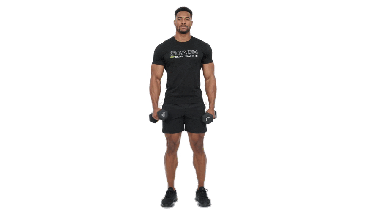 Dumbbell Alternating Lateral Raise