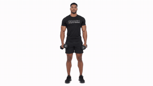 Dumbbell Alternating Lateral Raise