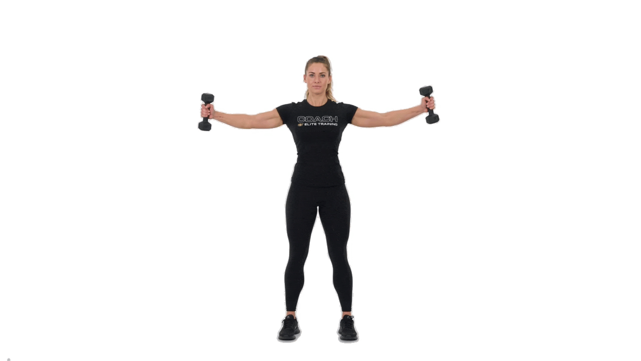 Dumbbell Arch Drop