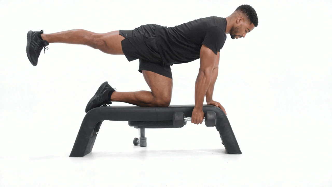 Dumbbell Bench Bird Dog Row