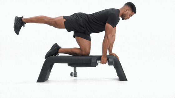 Dumbbell Bench Bird Dog Row