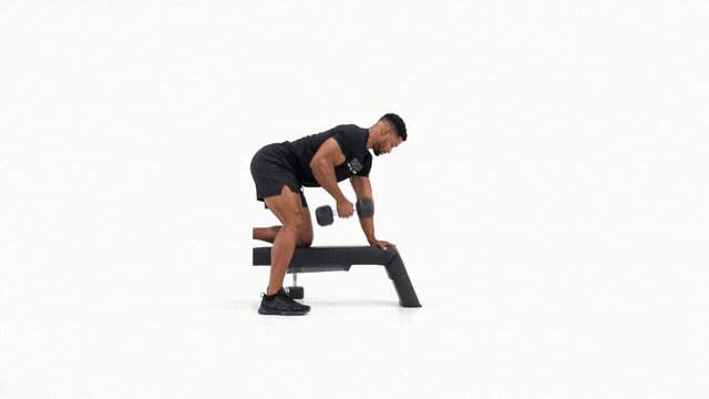 Dumbbell Bench Single Arm Bent Over Row
