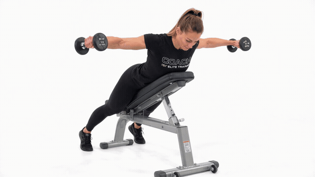 Dumbbell Bench Supported Y Raise