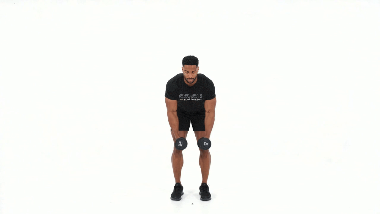 Dumbbell Bent Over Reverse Fly