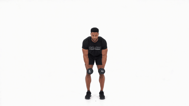 Dumbbell Bent Over Reverse Fly