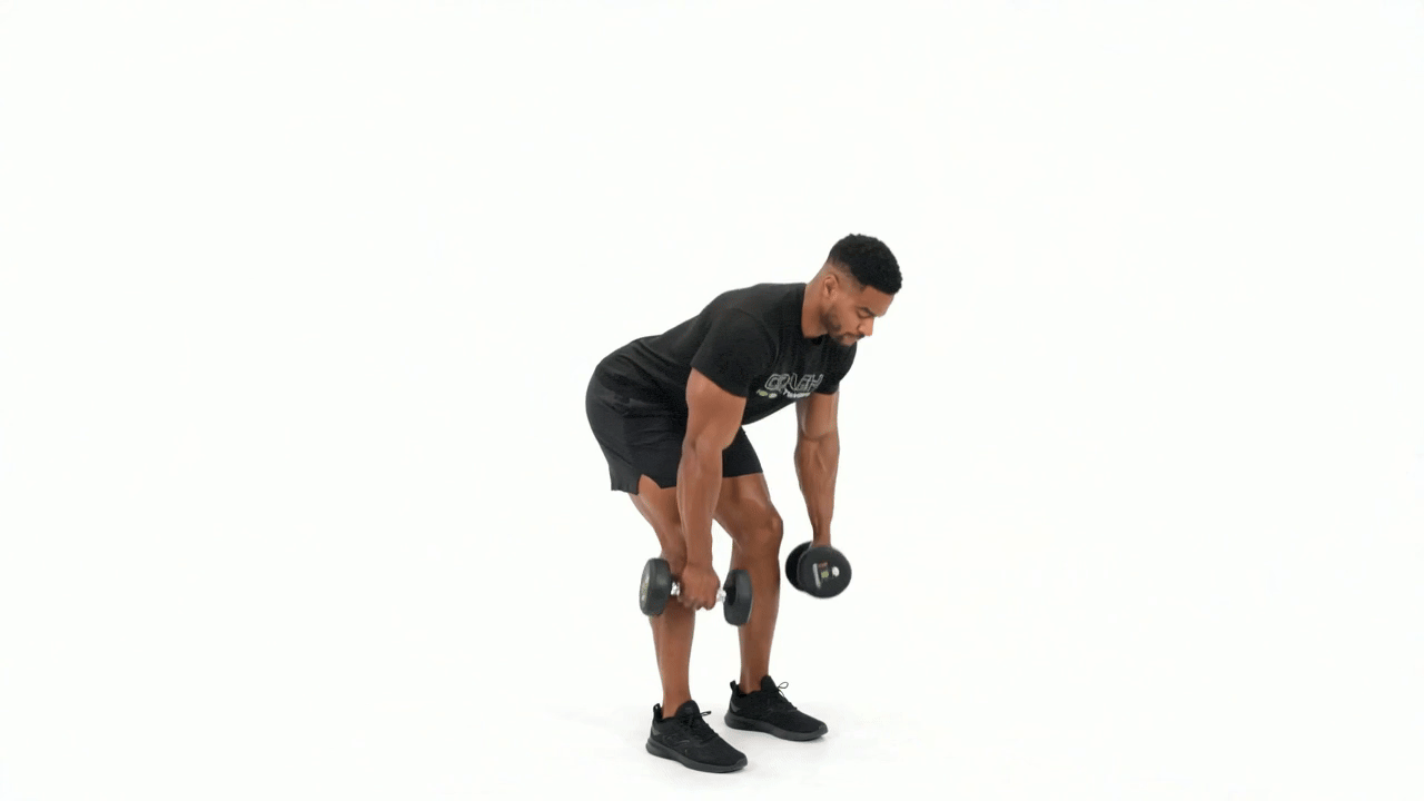 Dumbbell Bent Over Row to Curl