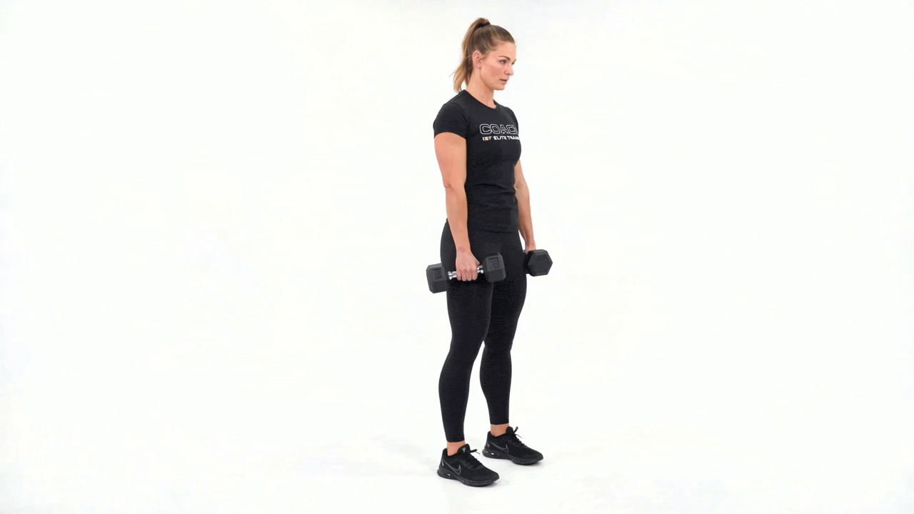Dumbbell Bent over Row to Reverse Lunge